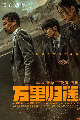 万里归途电影正片