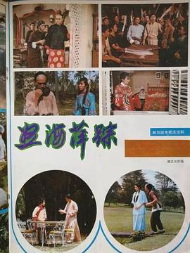 怒海萍踪电视剧全30集