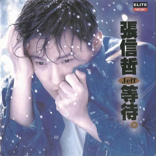 不会让你后悔歌词-张信哲