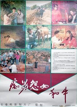 痴男怨女和牛电影HD国语