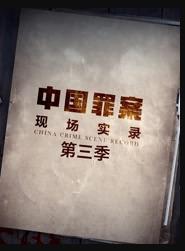 罪案现场实录第三季电影全12集