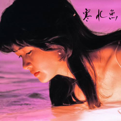 家出 (外出) (Remaster)歌词-中岛美雪 (中島みゆき)