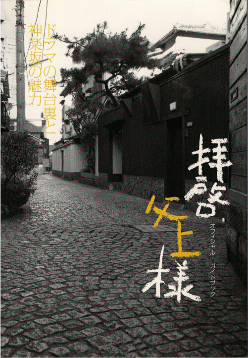 敬启，父亲大人电视剧全11集
