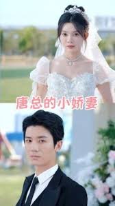 唐总的小娇妻短剧全89集