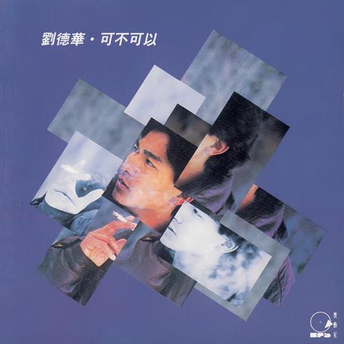 谁说不可以歌词-刘德华