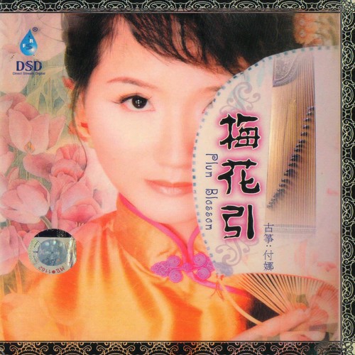 美人吟歌词-付娜