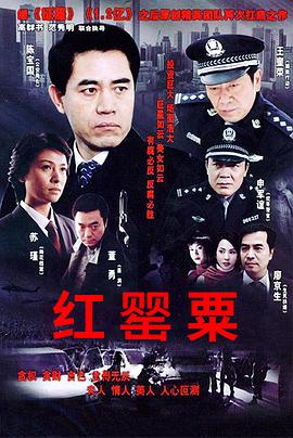 红罂粟电视剧全30集