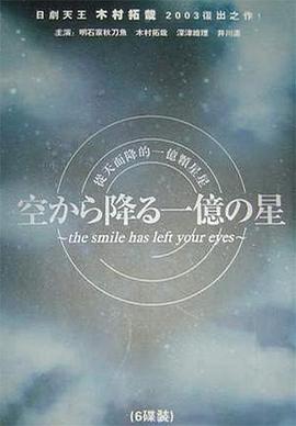 从天而降的一亿颗星星电视剧全11集