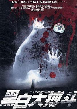 黑白大搏斗电视剧全20集