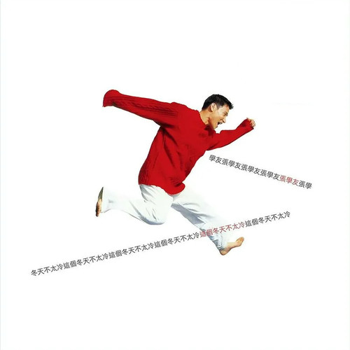 无止境的心痛歌词-张学友