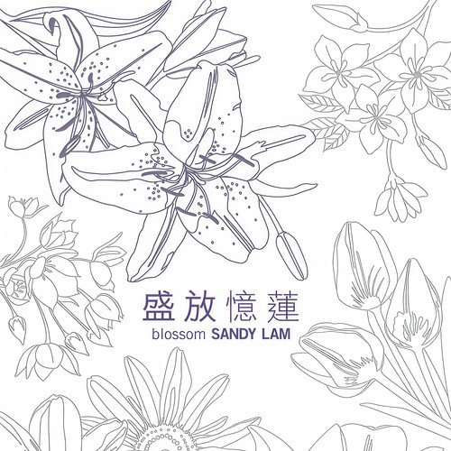 灰色歌词-林忆莲