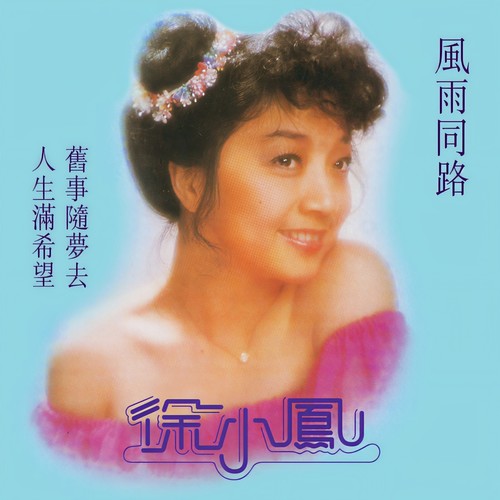 风雨同路歌词-徐小凤