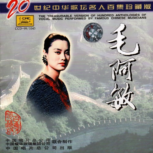 自有人评说歌词-毛阿敏
