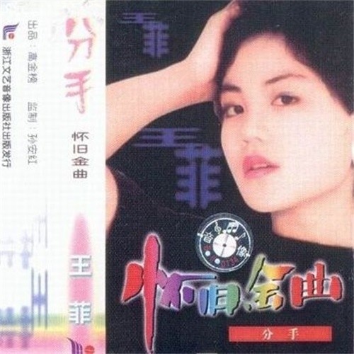 你的影像歌词-王菲