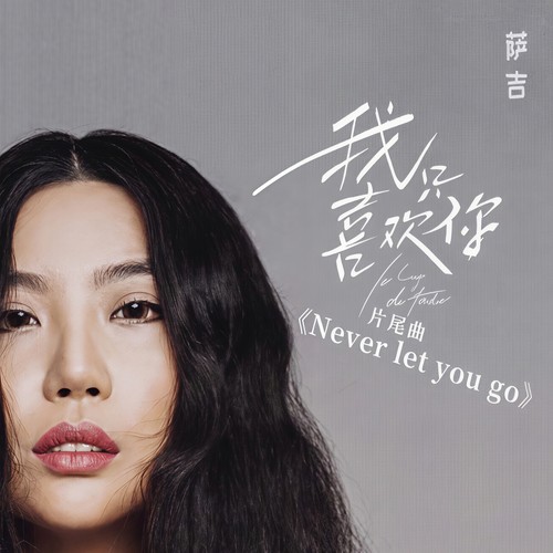 Never let you go歌词-萨吉