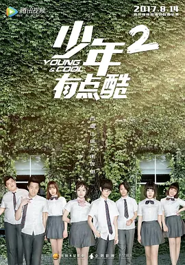 少年有点酷2电视剧全12集