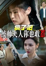 疯了吧统帅夫人你也敢惹短剧全33集