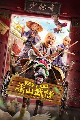 嵩山武僧电影正片