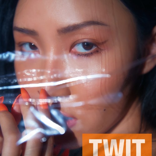 멍청이 (TWIT)歌词-华莎 (화사)