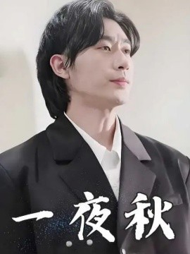 一夜秋 陆少宠妻如命短剧全100集