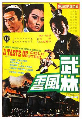 武林风云电影HD国语版