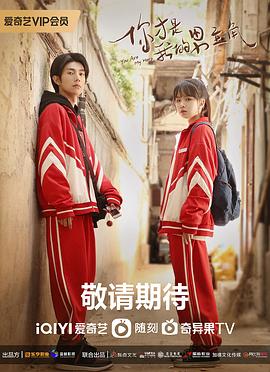 奔赴星辰的我们电视剧全24集