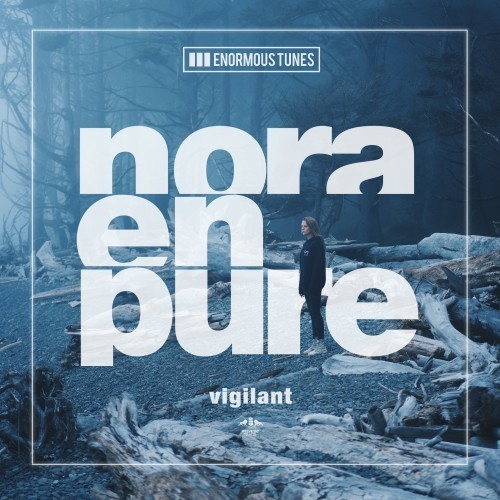 Vigilant (Extended Mix)歌词-Nora En Pure