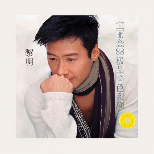 我会像你一样傻歌词-黎明