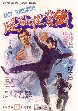 铁掌旋风腿电影HD中字