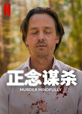 正念谋杀电视剧全08集