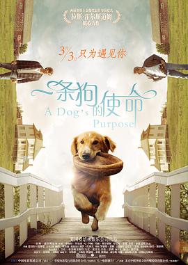 一条狗的使命电影正片