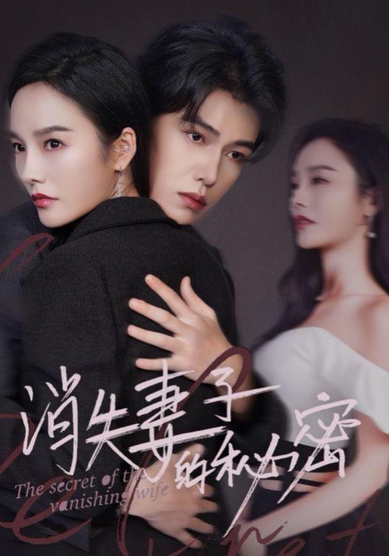 消失妻子的秘密短剧全58集
