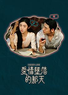爱情坠落的那天电视剧更新至24集
