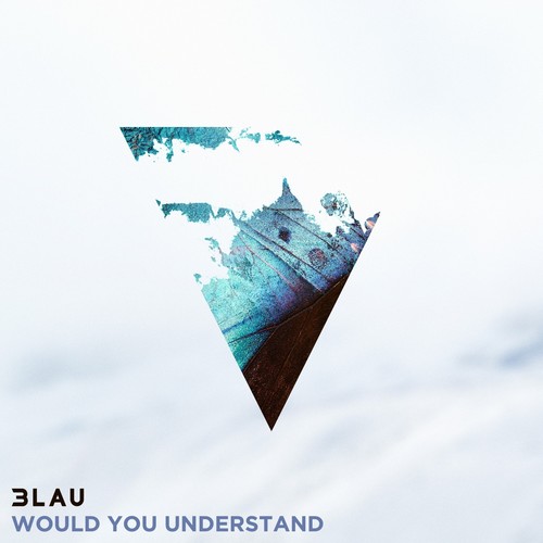 Would You Understand歌词-3LAU / Carly Paige