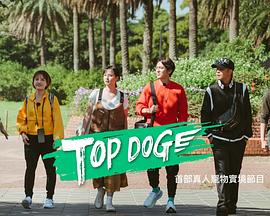 TOP DOG综艺全8期