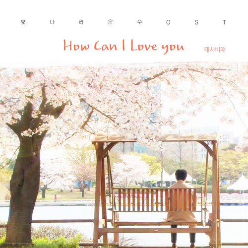 How can I love you (《太阳的后裔》韩剧插曲)歌词-殆死悲爱 (태사비애)