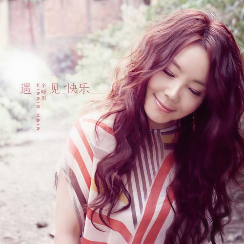 无声情歌歌词-辛晓琪 / 齐秦
