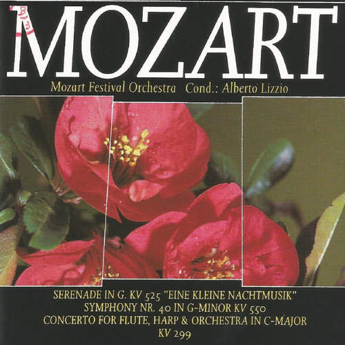 Symphony No. 40 in G Minor, K. 550 - I. Molto Allegro (G小调第40号交响曲，作品550 - 第一乐章 很快的快板)歌词-Alberto Lizzio / Mozart Festival Orchestra / Wolfgang Amadeus Mozart