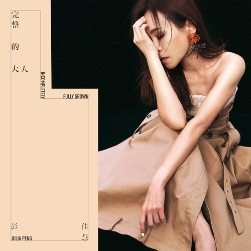 完整的大人歌词-彭佳慧