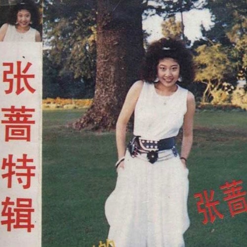 20岁的浪漫歌词-张蔷