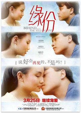 缘份电影正片
