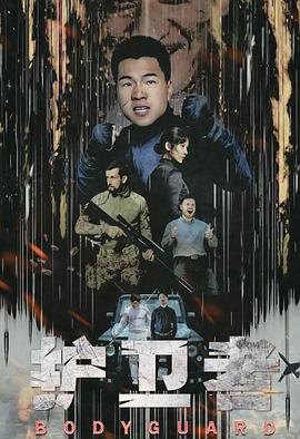 护卫者电影HD国语版